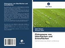 Bookcover of Phänomene von Oberflächen und Grenzflächen