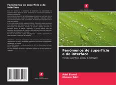 Buchcover von Fenómenos de superfície e de interface
