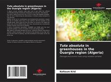 Capa do livro de Tuta absoluta in greenhouses in the Ouargla region (Algeria) 