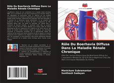 Bookcover of Rôle Du Boerhavia Diffusa Dans La Maladie Rénale Chronique