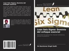 Capa do livro de Lean Seis Sigma: Dominio del enfoque esencial 