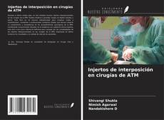Capa do livro de Injertos de interposición en cirugías de ATM 