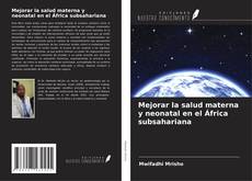 Bookcover of Mejorar la salud materna y neonatal en el África subsahariana