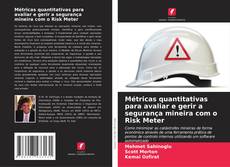 Buchcover von Métricas quantitativas para avaliar e gerir a segurança mineira com o Risk Meter