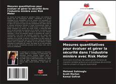 Buchcover von Mesures quantitatives pour évaluer et gérer la sécurité dans l'industrie minière avec Risk Meter