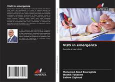 Visti in emergenza kitap kapağı