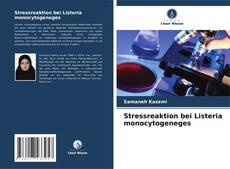 Bookcover of Stressreaktion bei Listeria monocytogeneges