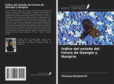 Buchcover von Índice del estado del futuro de Georgia y Hungría