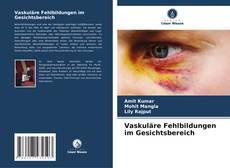 Bookcover of Vaskuläre Fehlbildungen im Gesichtsbereich