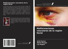 Buchcover von Malformaciones vasculares de la región facial