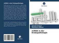 Bookcover of miRNA in der Krebspathologie