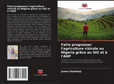 Capa do livro de Faire progresser l'agriculture rizicole au Nigeria grâce au SIG et à l'AHP 