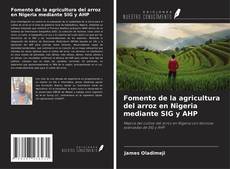 Capa do livro de Fomento de la agricultura del arroz en Nigeria mediante SIG y AHP 