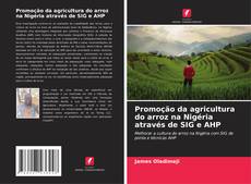Portada del libro de Promoção da agricultura do arroz na Nigéria através de SIG e AHP