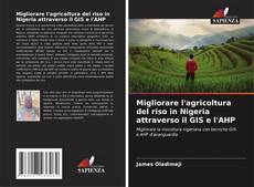 Buchcover von Migliorare l'agricoltura del riso in Nigeria attraverso il GIS e l'AHP