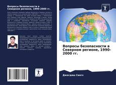 Вопросы безопасности в Северном регионе, 1990-2000 гг. kitap kapağı