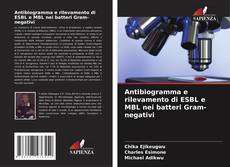 Capa do livro de Antibiogramma e rilevamento di ESBL e MBL nei batteri Gram-negativi 