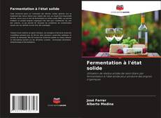 Bookcover of Fermentation à l'état solide