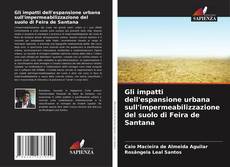 Buchcover von Gli impatti dell'espansione urbana sull'impermeabilizzazione del suolo di Feira de Santana