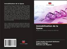 Bookcover of Immobilisation de la lipase