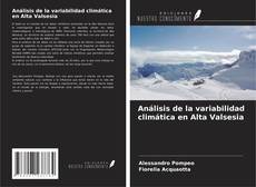 Análisis de la variabilidad climática en Alta Valsesia kitap kapağı