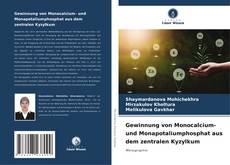 Portada del libro de Gewinnung von Monocalcium- und Monapotaliumphosphat aus dem zentralen Kyzylkum