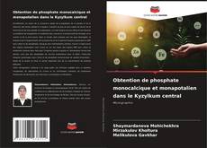 Buchcover von Obtention de phosphate monocalcique et monapotalien dans le Kyzylkum central