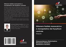 Borítókép a  Ottenere fosfato monocalcico e monapotalico dal Kyzylkum centrale - hoz