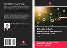 Bookcover of Obtenção de fosfato monocálcico e monapotálico de Kyzylkum Central
