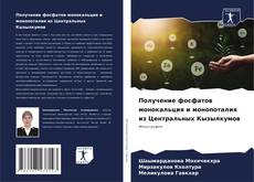 Получение фосфатов монокальция и монопоталия из Центральных Кызылкумов kitap kapağı