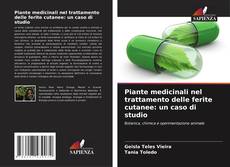 Bookcover of Piante medicinali nel trattamento delle ferite cutanee: un caso di studio