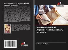 Copertina di Risorse idriche in Algeria: Realtà, scenari, strategie