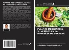 PLANTAS MEDICINALES SILVESTRES EN LA PROVINCIA DE BUKHARA kitap kapağı