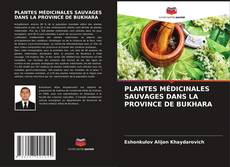 Bookcover of PLANTES MÉDICINALES SAUVAGES DANS LA PROVINCE DE BUKHARA