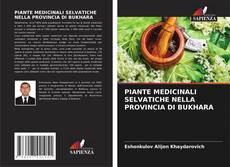 Bookcover of PIANTE MEDICINALI SELVATICHE NELLA PROVINCIA DI BUKHARA