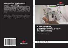 Bookcover of Consumption, postmodernity, social responsibility