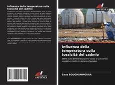 Bookcover of Influenza della temperatura sulla tossicità del cadmio