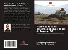 Bookcover of Incendies dans les décharges et étude de cas de Palmas - TO
