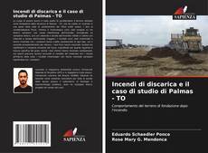Incendi di discarica e il caso di studio di Palmas - TO kitap kapağı