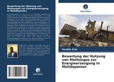 Buchcover von Bewertung der Nutzung von Methangas zur Energieerzeugung in Mülldeponien