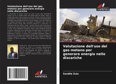 Bookcover of Valutazione dell'uso del gas metano per generare energia nelle discariche