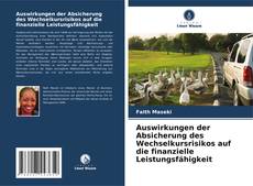 Copertina di Auswirkungen der Absicherung des Wechselkursrisikos auf die finanzielle Leistungsfähigkeit