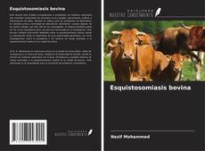 Bookcover of Esquistosomiasis bovina