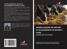 Bookcover of MODELLAZIONE DEI METODI DI ALLEVAMENTO DI BOVINI E OVINI