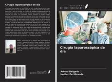 Обложка Cirugía laparoscópica de día