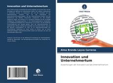 Innovation und Unternehmertum kitap kapağı