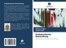 Bookcover of Endodontische Behandlung