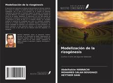 Buchcover von Modelización de la rizogénesis