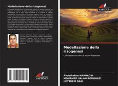 Bookcover of Modellazione della rizogenesi