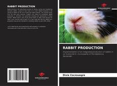 Bookcover of RABBIT PRODUCTION